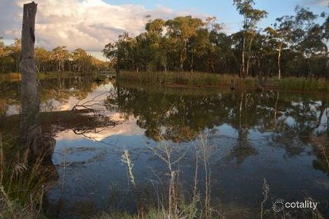 1225 Cohuna Island Rd, Burkes Bridge, VIC 3568