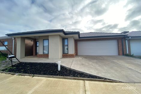 21 United Ave, Tarneit, VIC 3029