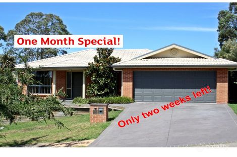 31 Bloodwood Rd, Muswellbrook, NSW 2333