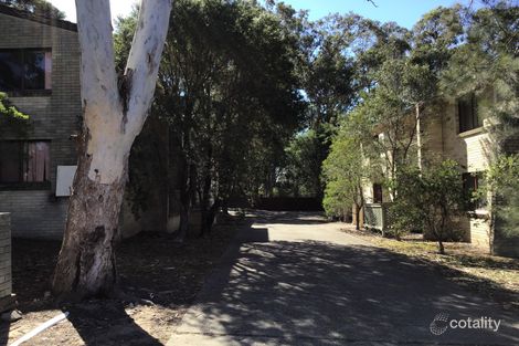 Property photo of 2/10 Lobelia Close Metford NSW 2323