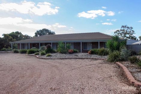 53 David St, New Town, SA 5554