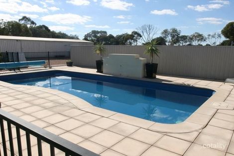 Property photo of 53 David Street New Town SA 5554