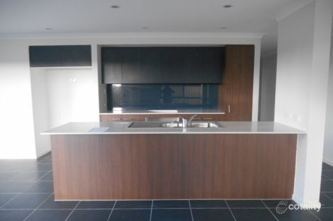 Property photo of 3 Cardamom Close Griffin QLD 4503