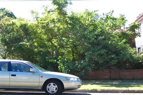 Property photo of 45 Johnson Street Freshwater NSW 2096