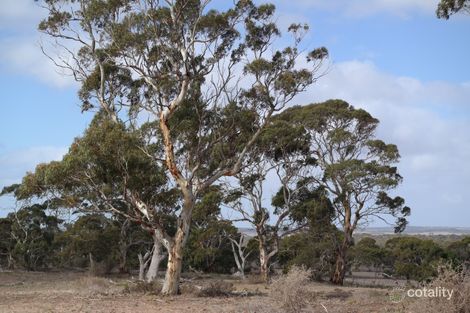 225 Schenscher Rd, Monarto, SA 5254