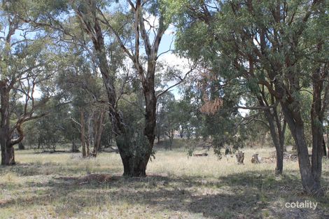 111 Adams Lead Rd, Gulgong, NSW 2852