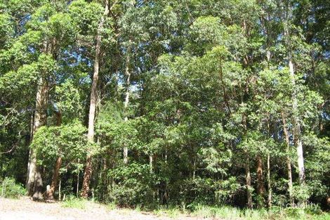 135 Hydes Creek Rd, Bellingen, NSW 2454