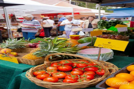 Property photo of 6 William Road Eumundi QLD 4562