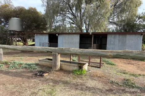 6230 Wakool Rd, Wakool, NSW 2710