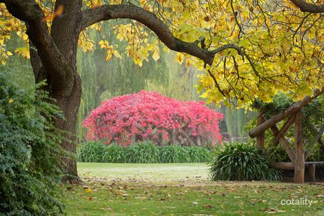 19 Walker St, Castlemaine, VIC 3450