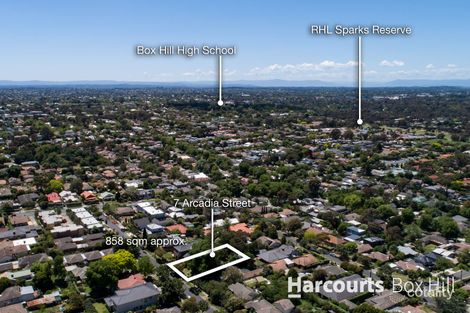 Property photo of 7 Arcadia Street Box Hill South VIC 3128