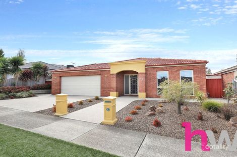 53 Fogarty Ave, Highton, VIC 3216