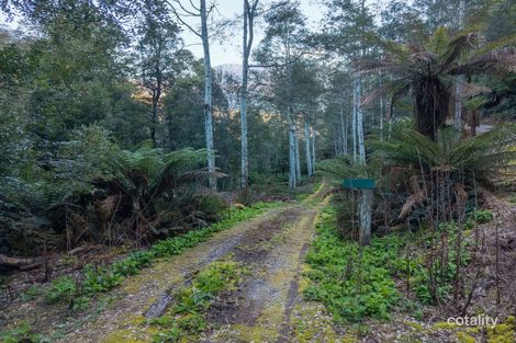 1759 Loongana Rd, Loongana, TAS 7315