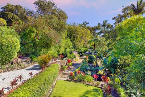 Property photo of 33 Redman Road Dee Why NSW 2099