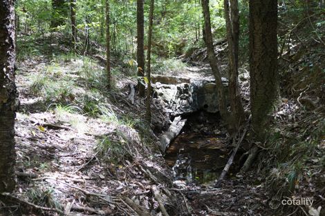 Property photo of 98 Boscombe Road Brookfield QLD 4069