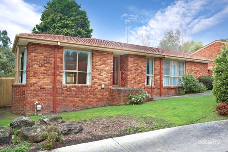 1/143 Springvale Rd, Donvale, VIC 3111
