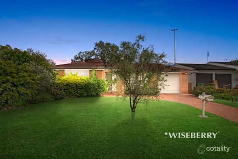 8 Elua Ave, Budgewoi, NSW 2262