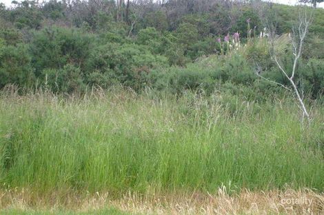 Lot 4 Chrisp St, Zeehan, TAS 7469