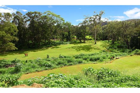 Property photo of 40 Henri Robert Drive Clagiraba QLD 4211