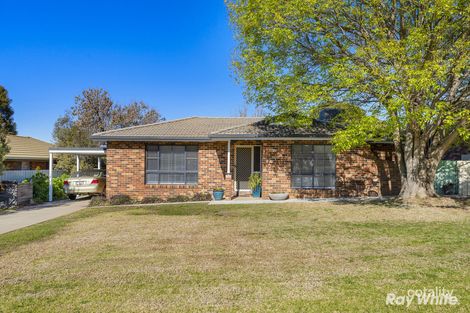 Property photo of 17 Avocet Drive Estella NSW 2650