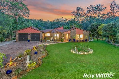 Property photo of 21 Pinecone Court Bunya QLD 4055