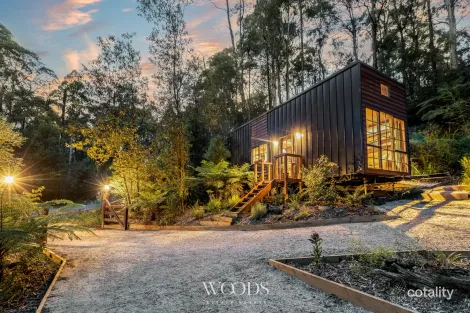 38 Amphlett Ave, Cockatoo, VIC 3781