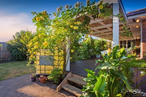 Property photo of 11 Osborn Grove Pakenham VIC 3810