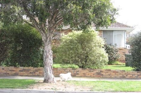 Property photo of 43 Blamey Street Bentleigh East VIC 3165