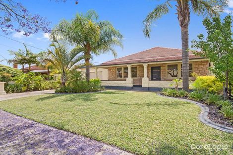 Property photo of 36 Dingera Avenue North Plympton SA 5037