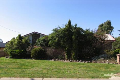 11 Lillian St, Pittsworth, QLD 4356