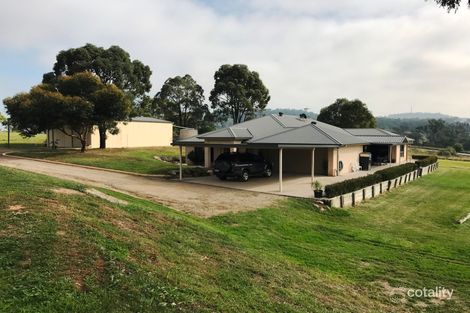 31 Woodland Ridge Rd, Muscle Creek, NSW 2333