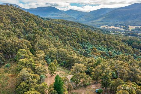 Property photo of LOT 1 Fyfes Road Mountain River TAS 7109