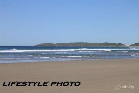 Property photo of 30 Blackbutt Avenue Sandy Beach NSW 2456