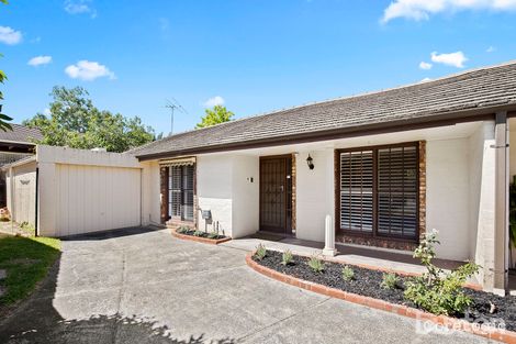 4/58-60 Crisp St, Hampton, VIC 3188