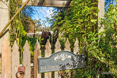 Property photo of 16 Ryans Road Clonbinane VIC 3658