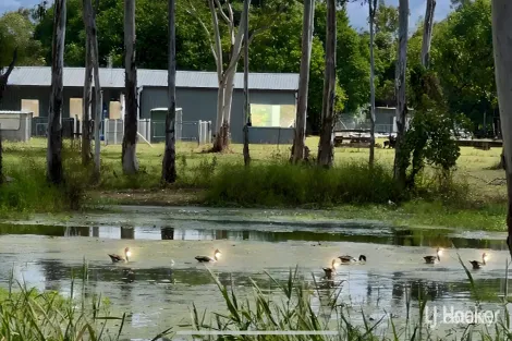 112 Clifford Ave, Yabulu, QLD 4818