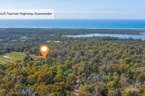 5 Tasman Hwy, Bicheno, TAS 7215
