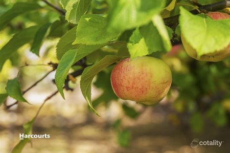 Property photo of LOT 28 Flakemore Road Franklin TAS 7113