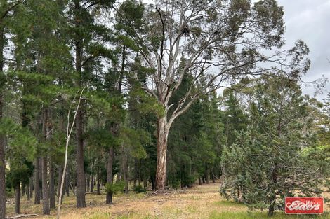 Property photo of 41 Alexander Murray Road Williamstown SA 5351