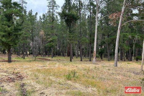 41 Alexander Murray Rd, Williamstown, SA 5351