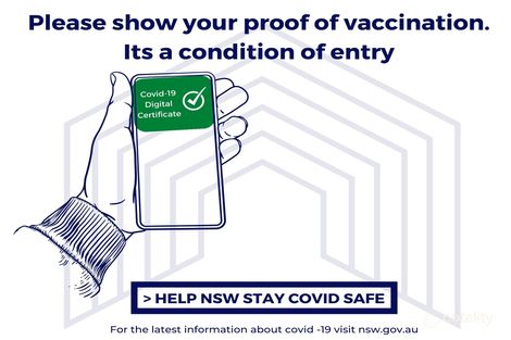 262 Parkway Ave, Hamilton East, NSW 2303