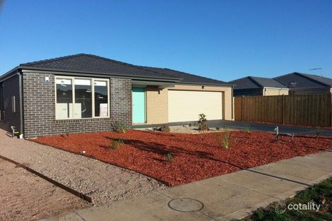 Property photo of 25 Cutleaf Crescent Tarneit VIC 3029