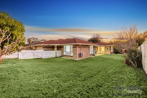 Property photo of 23 Dyson Avenue Sunnybank QLD 4109