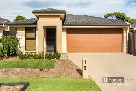 Property photo of 12 The Glenn Morphett Vale SA 5162