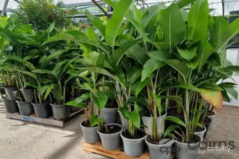 Property photo of 15 Ross Road Deeral QLD 4871