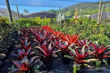 Property photo of 15 Ross Road Deeral QLD 4871