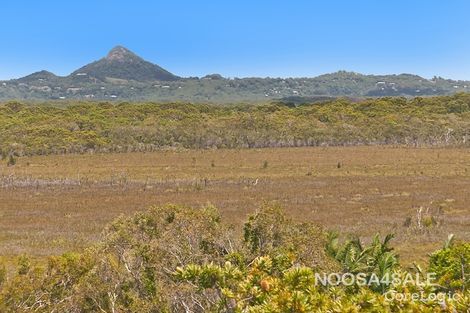 Property photo of 75 Parakeet Crescent Peregian Beach QLD 4573