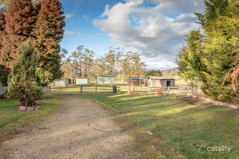331 Western Creek Rd, Caveside, TAS 7304