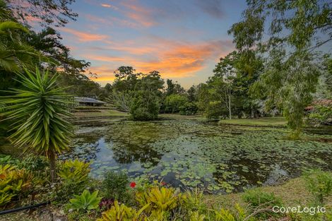 Property photo of 53 Coorabin Court Tallebudgera QLD 4228