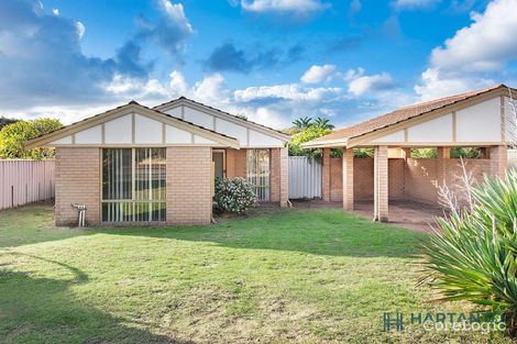 Property photo of 23A Mapstone Gardens Murdoch WA 6150